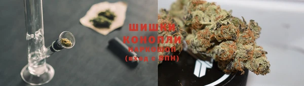 амфетамин Белокуриха