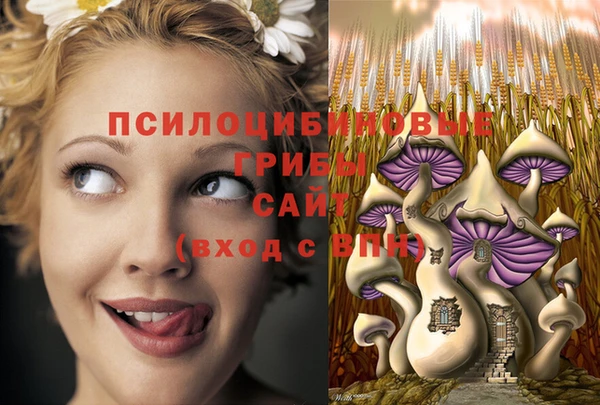 амфетамин Белокуриха