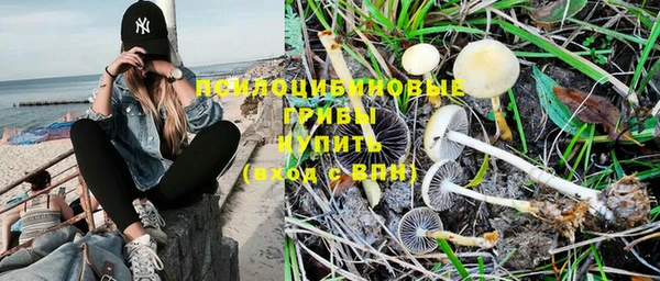 трава Белоозёрский